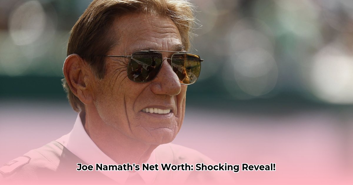 what-is-joe-namath-net-worth